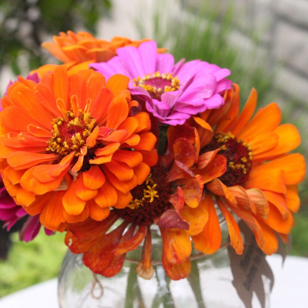 Flower Power Hour 7