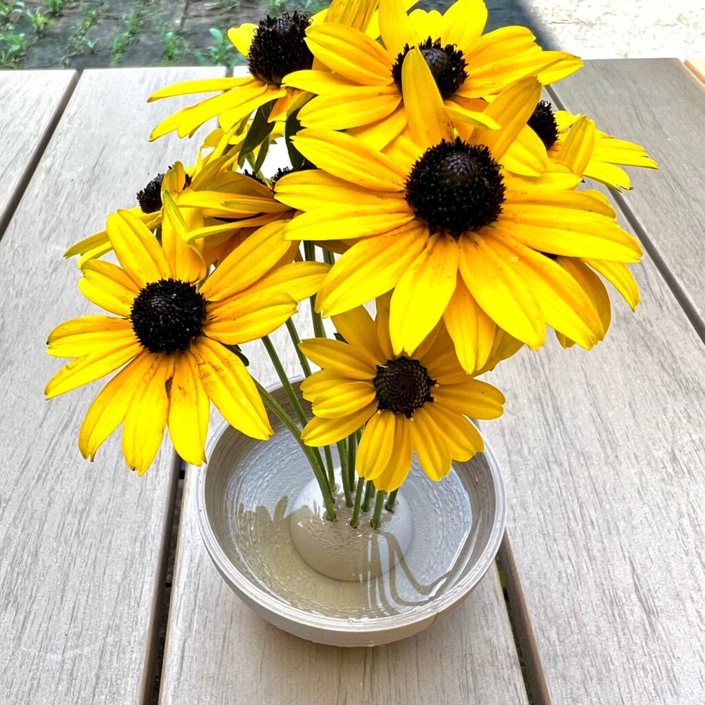 Flower Power Hour 8